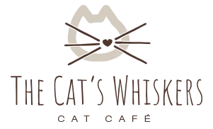 The Cats Whiskers York Coupon 